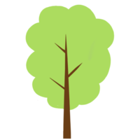 árbol clipart árbol clipart árbol clipart árbol clipart árbol clipart árbol clipart árbol png