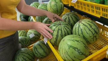 wählen frisch Wassermelonen, Lebensmittelgeschäft Einkaufen video