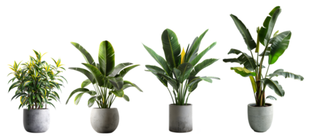 ai généré collection de vert plantes d'intérieur dans des pots isolé sur transparent Contexte png