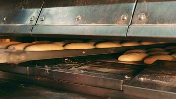 das Bäcker Verwendet ein groß Schaufel zu stellen das Teig im das Ofen. das Konzept von Backen Bäckerei Produkte. schließen oben video