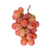 manojo de rojo uvas aislado en transparente antecedentes png