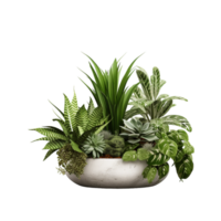 AI generated indoor plant in white pot on transparent background png