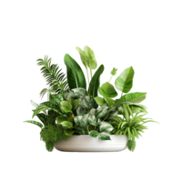 AI generated indoor plant in white pot on transparent background png