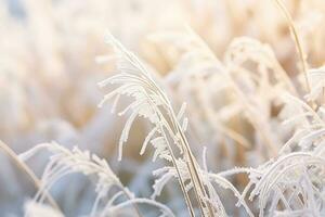 AI generated Beautiful background image of hoarfrost in nature close up. photo