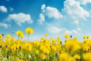 ai generado hermoso, bañado por el sol primavera verano prado. natural vistoso panorámico paisaje con muchos salvaje flores de margaritas en contra azul cielo con nubes foto