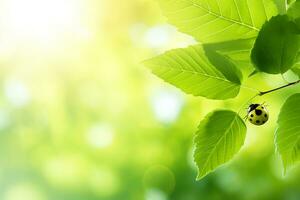 AI generated Green fresh grass leaves with selective focus and ladybug in focus during positive sunny day photo