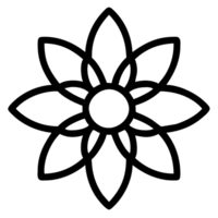 magnifique fleur contour png