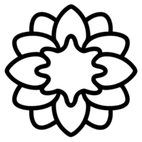 bellissimo fiore schema png