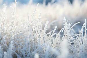 AI generated Beautiful background image of hoarfrost in nature close up. photo