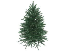 Christmas tree isolated on background. 3d rendering - illustration png