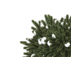 Noël arbre isolé sur Contexte. 3d le rendu - illustration png