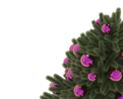 Natale albero isolato su sfondo. 3d interpretazione - illustrazione png