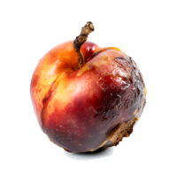 AI generated Decomposing Rotten Peach Unhealthy Eating Concept in Spoiled Fruit, Mold Growth png