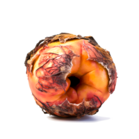 AI generated Decomposing Rotten Peach Unhealthy Eating Concept in Spoiled Fruit, Mold Growth png