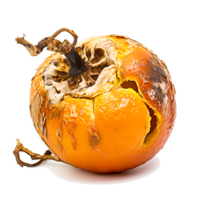 ai gegenereerd ontbindend verrot oranje ongezond aan het eten concept in verwend citrus, gietvorm groei png