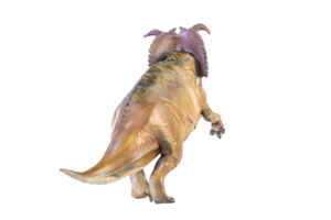 pachyrhinosaurus dinosaurus Aan geïsoleerd achtergrond png