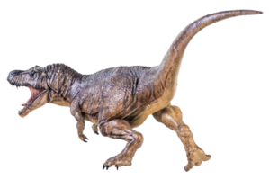 trex tirannosauro dinosauro su isolato sfondo png