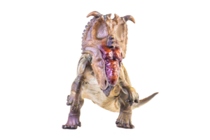 Pachyrhinosaurus dinosaur on isolated background png