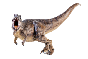 T-Rex Tyrannosaurus Dinosaurier auf isoliert Hintergrund png