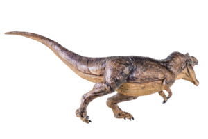 trex tirannosauro dinosauro su isolato sfondo png