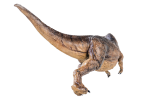 Trex Tyrannosaurus dinosaur on isolated background png