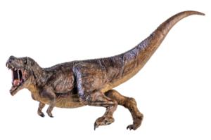 Trex Tyrannosaurus dinosaur on isolated background png