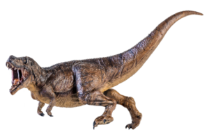 trex tirannosauro dinosauro su isolato sfondo png