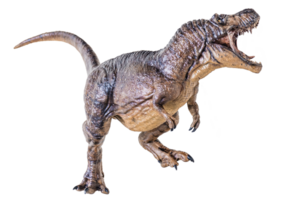 Trex Tyrannosaurus dinosaur on isolated background png