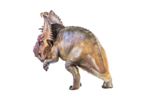 pachyrhinosaurus dinosaurus Aan geïsoleerd achtergrond png