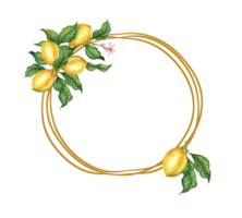 rond Cadre citrons sont jaune, juteux, mûr, avec vert feuilles, fleur bourgeons sur le branches. aquarelle botanique illustration isolé. délicieux nourriture pour conception, imprimer, tissu, arrière-plan, png