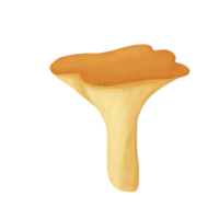 A yellow mushroom like a nail png