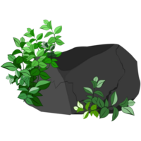 Stones or black coal from plants png