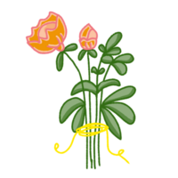 underbar färgrik blomning blommor och löv gräns. vår botanisk platt illustration png