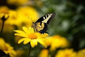 ai generado un amarillo y negro mariposa perca en un amarillo flor foto