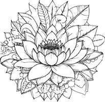 Nymphaea water lily drawings, outline water lily drawing, outline water lily flower drawing, black and white water lily drawing, sketch water lily drawing, hand drawn sketch water lily drawing vector