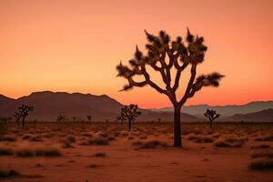 AI generated a photograph of desert at dusk photo