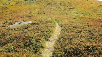 une homme vue de une chemin Aller montée. premier la personne pov voir. chemin dans le montagnes sur une ensoleillé journée. video