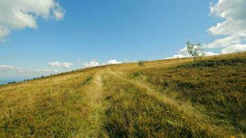 Uphill path. A look through the eyes of a person walking along a path uphill. Summer and grass on a sunny day. video