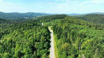 aereo Visualizza un vuoto strada senza macchine passaggio attraverso il montagne nel un infinito foresta massiccio. natura e paesaggio di il ucraino Carpazi su un' soleggiato estate giorno. video