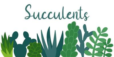 Succulent background vector. Flat succulent frame vector illustration