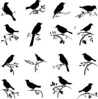 Vector set of birds and twigs. Decorative silhouette of birds sitting on tree branches oak, maple, birch, rowan and others. Flying birds. AI generated illustration.