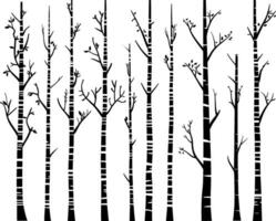 Birch trees. Vector background. Hand drawn vector illustration in sketch style. Nature template. AI generated illustration.