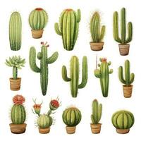 ai generado el cactus conjunto en blanco antecedentes. clipart ilustraciones. ai generado foto