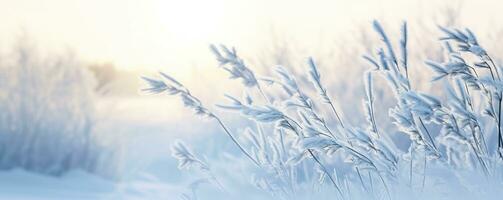 AI generated Frozen snowy grass, winter natural abstract background. beautiful winter landscape. AI Generated photo