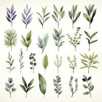 AI generated Collection of watercolor herbs clipart on white background. AI Generated photo