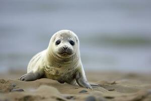 AI generated Harbor seal cub. AI Generated photo