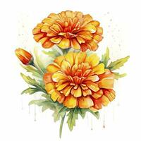 AI generated Watercolor autumn marigold flowers with raindrops on white background. AI Generated photo