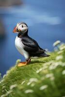 AI generated Puffin bird on a green grass patch. AI Generated photo