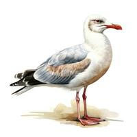 AI generated Watercolor seagull isolated on white background. AI Generated photo