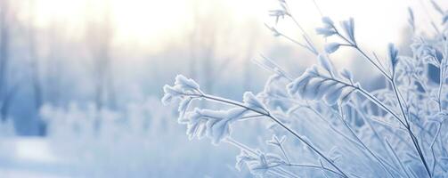 AI generated Frozen snowy grass, winter natural abstract background. beautiful winter landscape. AI Generated photo